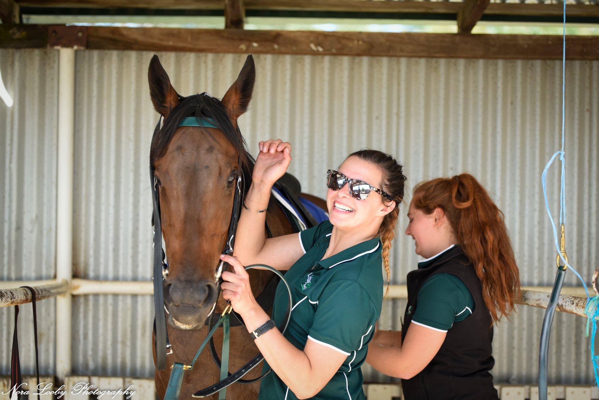 The 30 Seconds Nobody Sees: What Happens to a Racehorse Immediately After the Finish