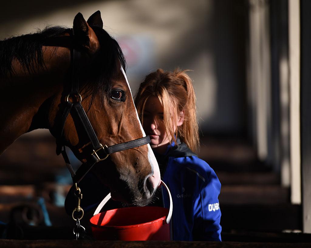 What Happens When a Racehorse Suddenly Stops Winning?
